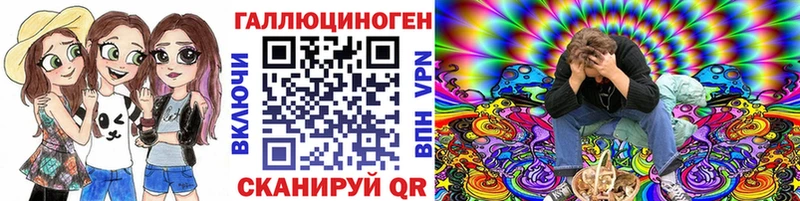 Псилоцибиновые грибы Psilocybe кракен tor Ачхой-Мартан где купить наркоту